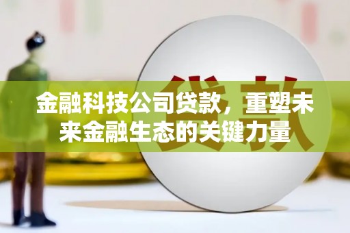 泰顺金融科技公司贷款，重塑未来金融生态的关键力量