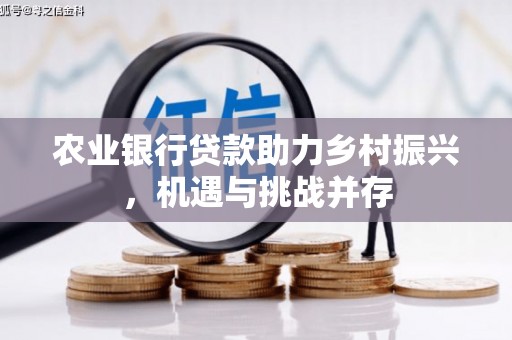 泰顺农业银行贷款助力乡村振兴，机遇与挑战并存