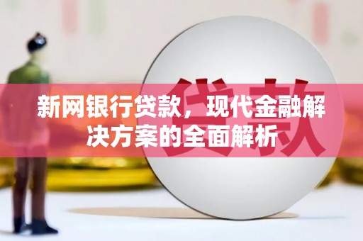 泰顺新网银行贷款，现代金融解决方案的全面解析