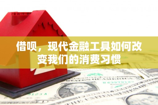 泰顺借呗，现代金融工具如何改变我们的消费习惯