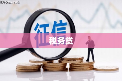 泰顺税务贷
