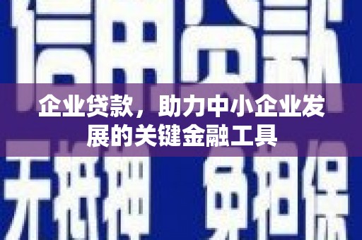 泰顺企业贷款，助力中小企业发展的关键金融工具