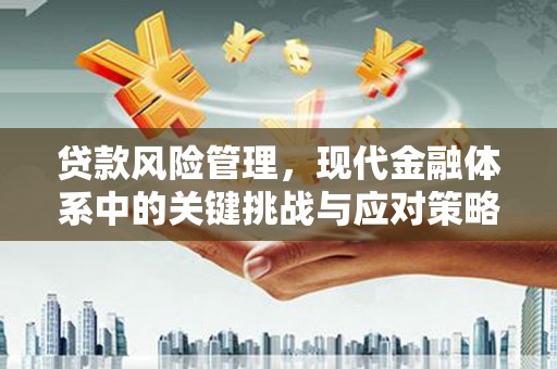泰顺贷款风险管理，现代金融体系中的关键挑战与应对策略
