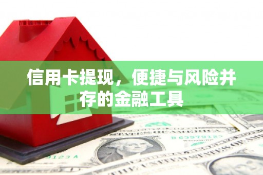 泰顺信用卡提现，便捷与风险并存的金融工具