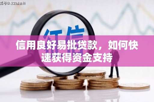 泰顺信用良好易批贷款，如何快速获得资金支持