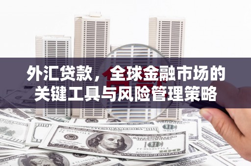 泰顺外汇贷款，全球金融市场的关键工具与风险管理策略