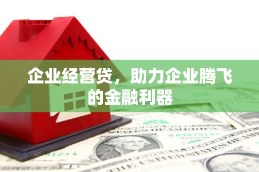 泰顺企业经营贷，助力企业腾飞的金融利器
