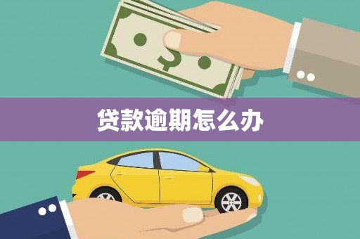 泰顺贷款逾期怎么办