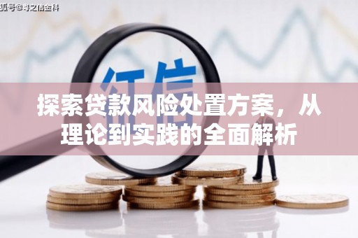 泰顺探索贷款风险处置方案，从理论到实践的全面解析