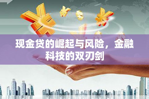 泰顺现金贷的崛起与风险，金融科技的双刃剑