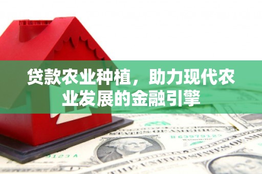 泰顺贷款农业种植，助力现代农业发展的金融引擎