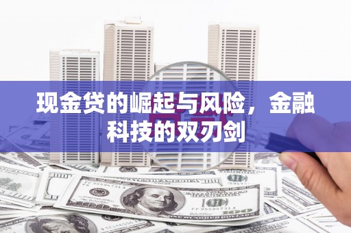 泰顺现金贷的崛起与风险，金融科技的双刃剑