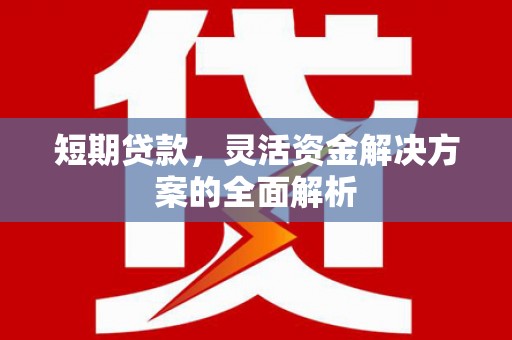 泰顺短期贷款，灵活资金解决方案的全面解析