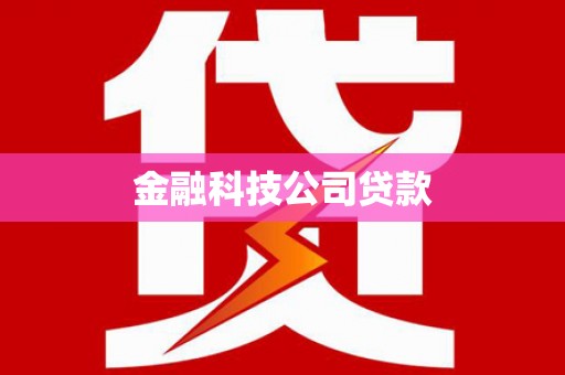 泰顺金融科技公司贷款