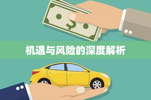 泰顺机遇与风险的深度解析