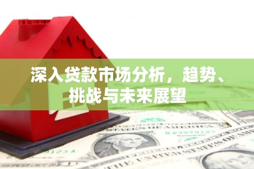 泰顺深入贷款市场分析，趋势、挑战与未来展望