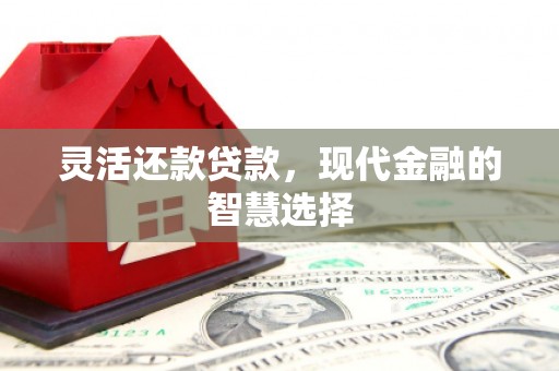 泰顺灵活还款贷款，现代金融的智慧选择