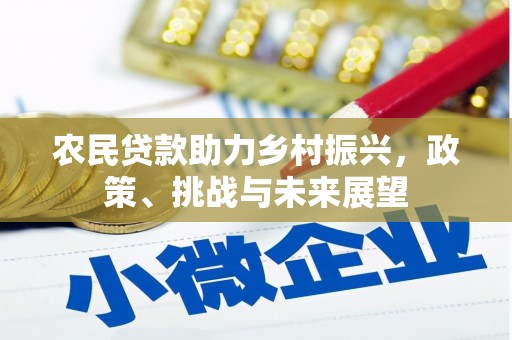 泰顺农民贷款助力乡村振兴，政策、挑战与未来展望