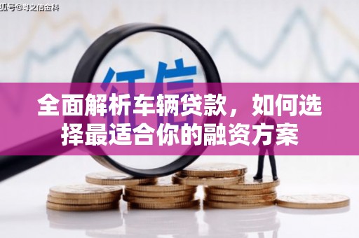 泰顺全面解析车辆贷款，如何选择最适合你的融资方案