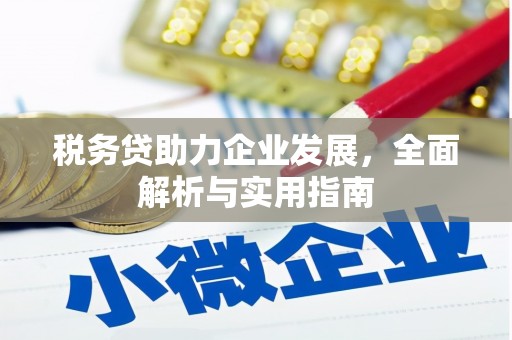 泰顺税务贷助力企业发展，全面解析与实用指南