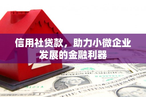 泰顺信用社贷款，助力小微企业发展的金融利器