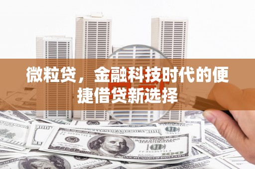 泰顺微粒贷，金融科技时代的便捷借贷新选择