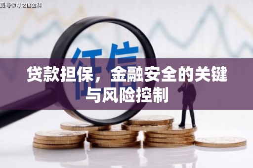 泰顺贷款担保，金融安全的关键与风险控制