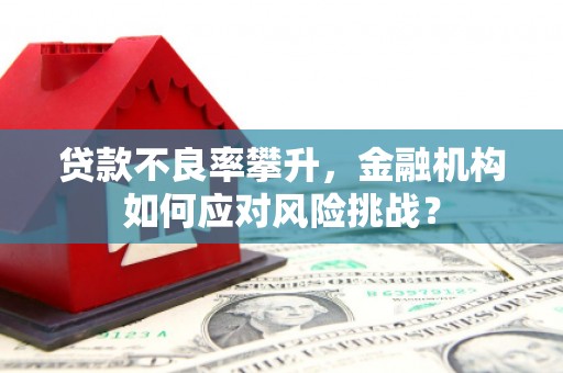 泰顺贷款不良率攀升，金融机构如何应对风险挑战？