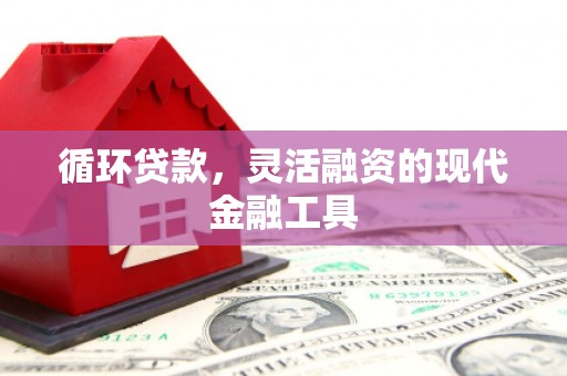 泰顺循环贷款，灵活融资的现代金融工具