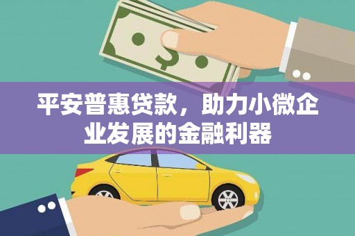 泰顺平安普惠贷款，助力小微企业发展的金融利器