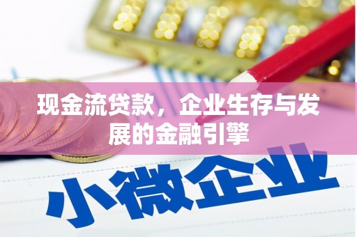 泰顺现金流贷款，企业生存与发展的金融引擎