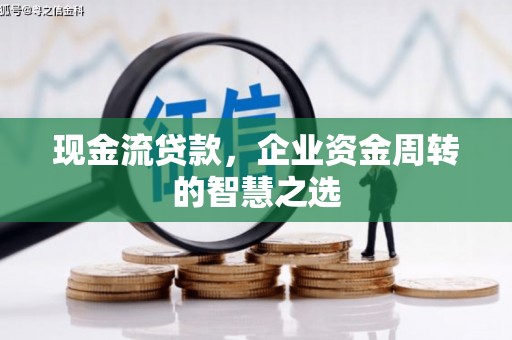 泰顺现金流贷款，企业资金周转的智慧之选