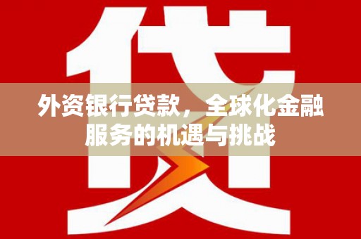 泰顺外资银行贷款，全球化金融服务的机遇与挑战