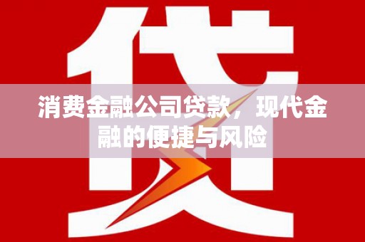 泰顺消费金融公司贷款，现代金融的便捷与风险