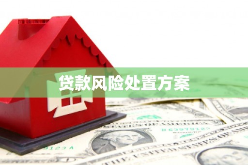 泰顺贷款风险处置方案