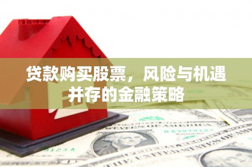 泰顺贷款购买股票，风险与机遇并存的金融策略