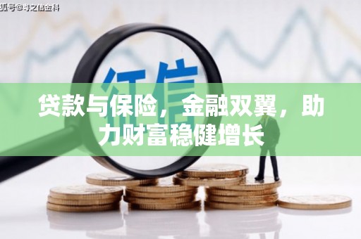 泰顺贷款与保险，金融双翼，助力财富稳健增长
