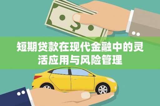 泰顺短期贷款在现代金融中的灵活应用与风险管理
