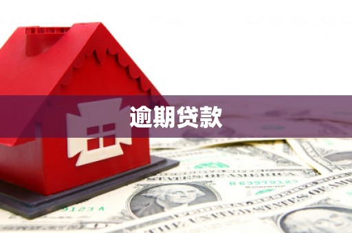 泰顺逾期贷款