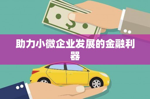 泰顺助力小微企业发展的金融利器