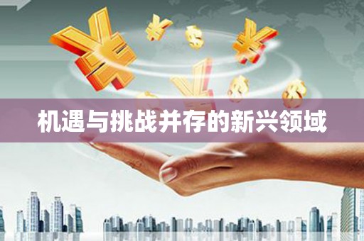 泰顺机遇与挑战并存的新兴领域