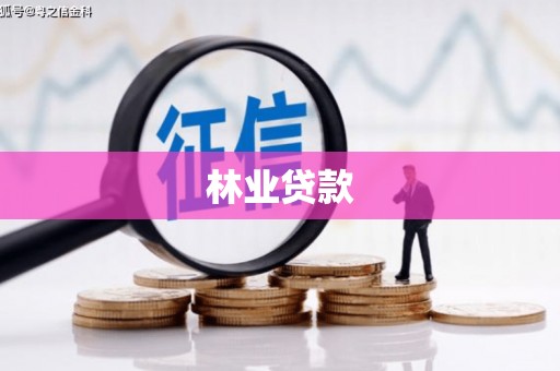 泰顺林业贷款