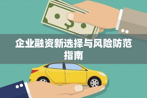 泰顺企业融资新选择与风险防范指南