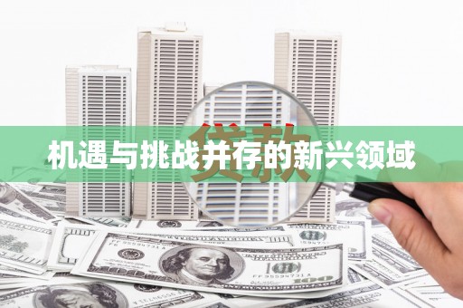 泰顺机遇与挑战并存的新兴领域