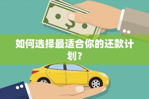 泰顺如何选择最适合你的还款计划？