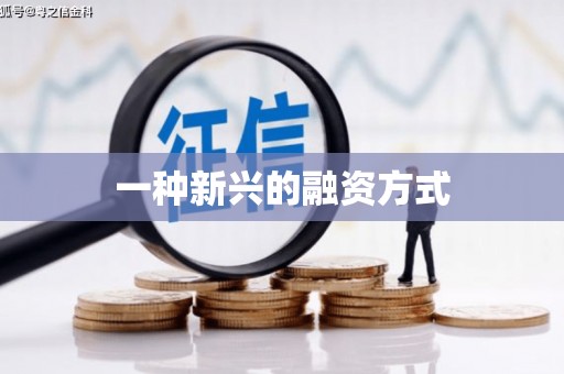 泰顺一种新兴的融资方式