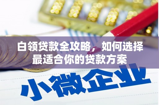 泰顺白领贷款全攻略，如何选择最适合你的贷款方案