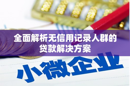 泰顺全面解析无信用记录人群的贷款解决方案