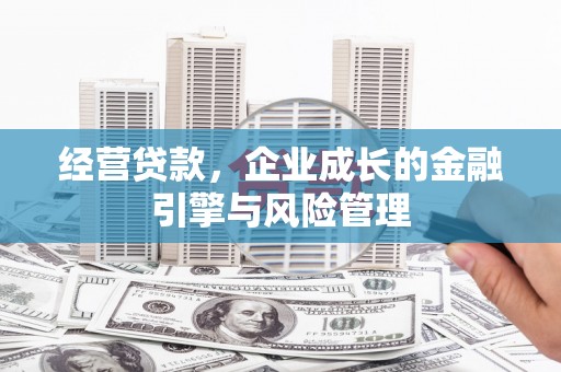 泰顺经营贷款，企业成长的金融引擎与风险管理