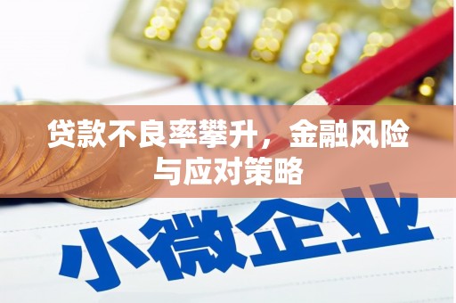 泰顺贷款不良率攀升，金融风险与应对策略